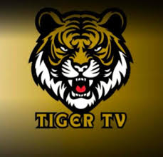 تايجر TV سنه